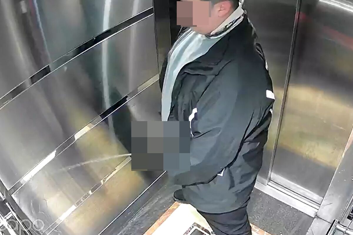 Kurye Önce Siparişi Yedi, Sonra Asansöre Tuvaletini Yaptı! AW674481 04 - Marmara Bölge Gazetesi