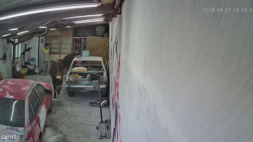 Danalar Tamirciyi Bastı AW694570 02 - Marmara Bölge Gazetesi