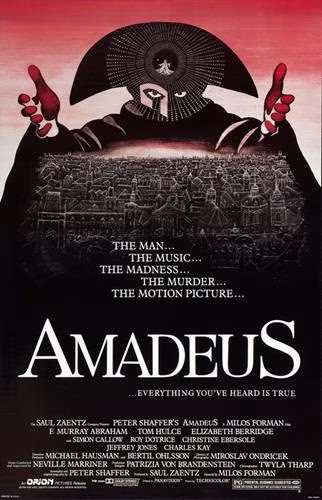Amadeus - Marmara Bölge Gazetesi