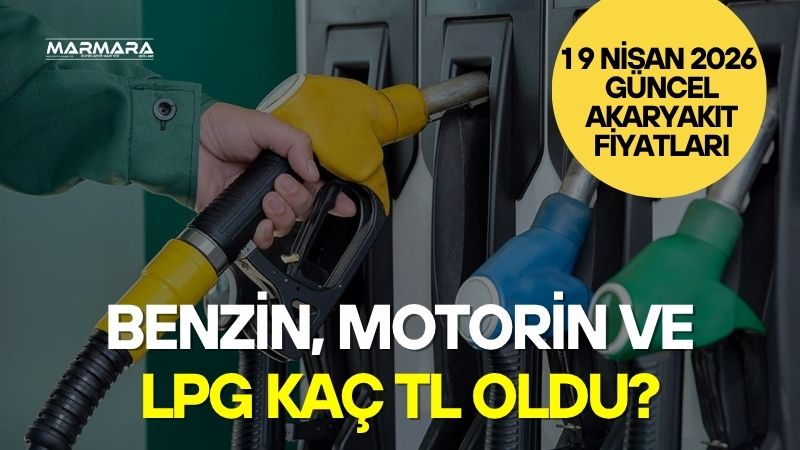 Brent petrol piyasasındaki dalgalanmalar, döviz kurundaki değişimler ve vergi düzenlemeleri,