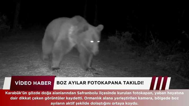 Karabük’ün gözde doğa alanlarından Safranbolu ilçesinde kurulan fotokapan, yaban hayatına