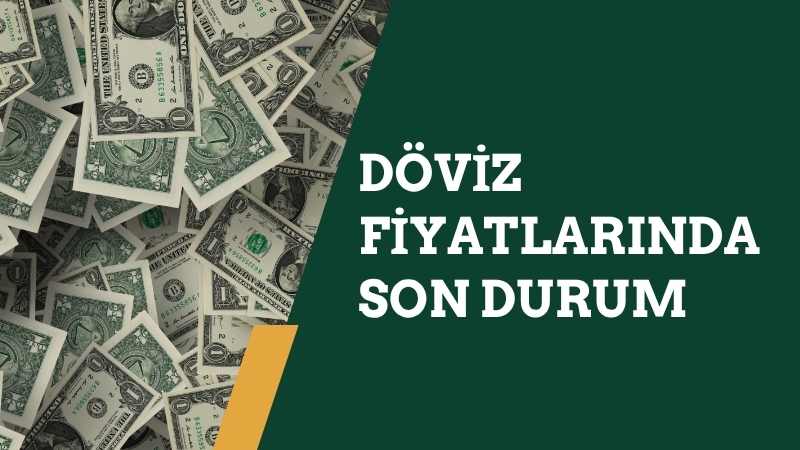 Ekonomik ve finansal kararlar üzerinde doğrudan etkili olan döviz kurlarındaki