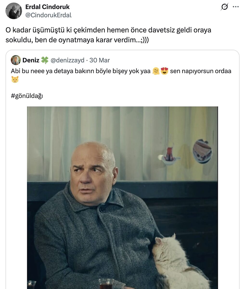 Gönül Dağı’nda Kedi Detayı Gündem Oldu s e4845c45b0d2c208a0172de158445eb28f514c4a - Marmara Bölge Gazetesi