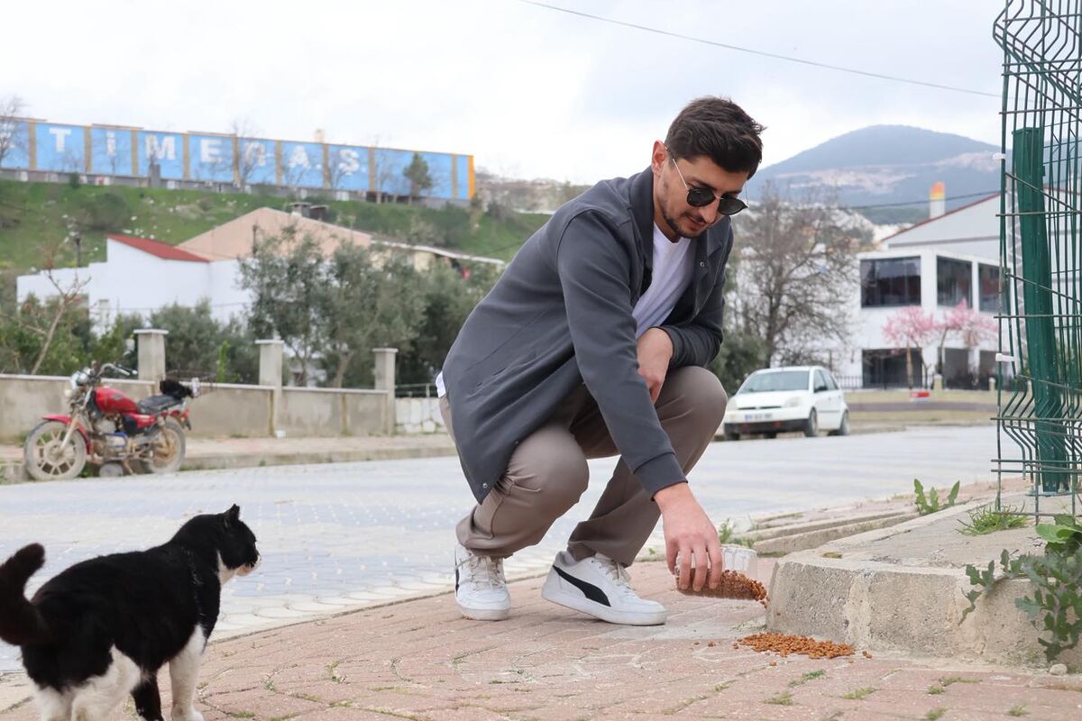 Adalar’da Sokak Hayvanları Alarmı! sokak hayvanlari 4 - Marmara Bölge Gazetesi