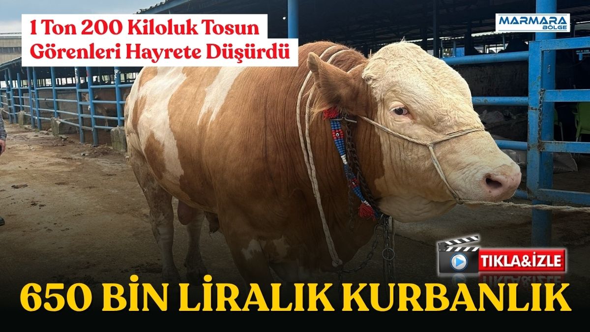 Bursa’nın Yıldırım ilçesinde kurulan İsabey Kurban Pazarı, Kurban Bayramı öncesi
