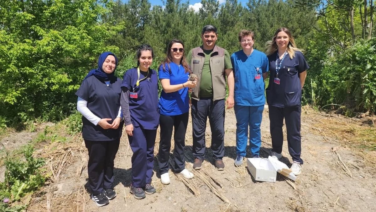 Yaralı Kukumav Kuşu Tedavi Edildi! 51 - Marmara Bölge Gazetesi