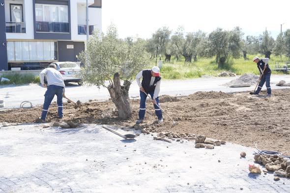 Burhaniye Belediyesi, ilçe genelinde yeşil alan ve parkların bakım, onarım