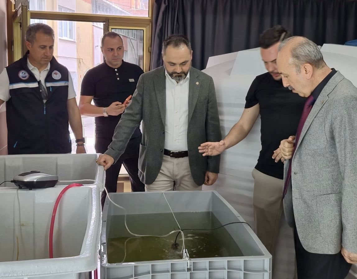 Türkiye’de İlk: Balıkesir’de Deniz Patlıcanı Yavrusu Üretimi Başladı! 692873260 1387040270133498 8068983878043240922 n - Marmara Bölge Gazetesi