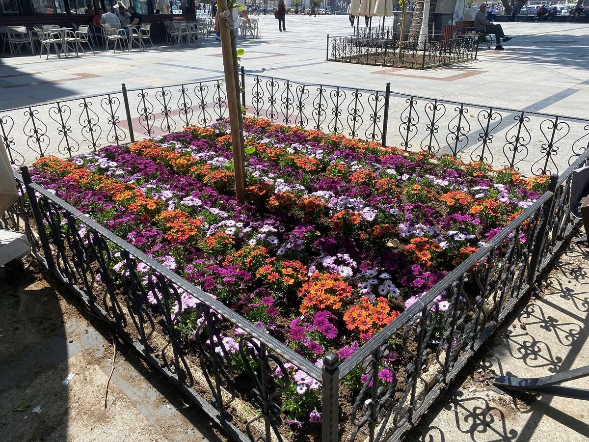 694533900 18359717254225400 1366100717081168034 n - Marmara Bölge Gazetesi