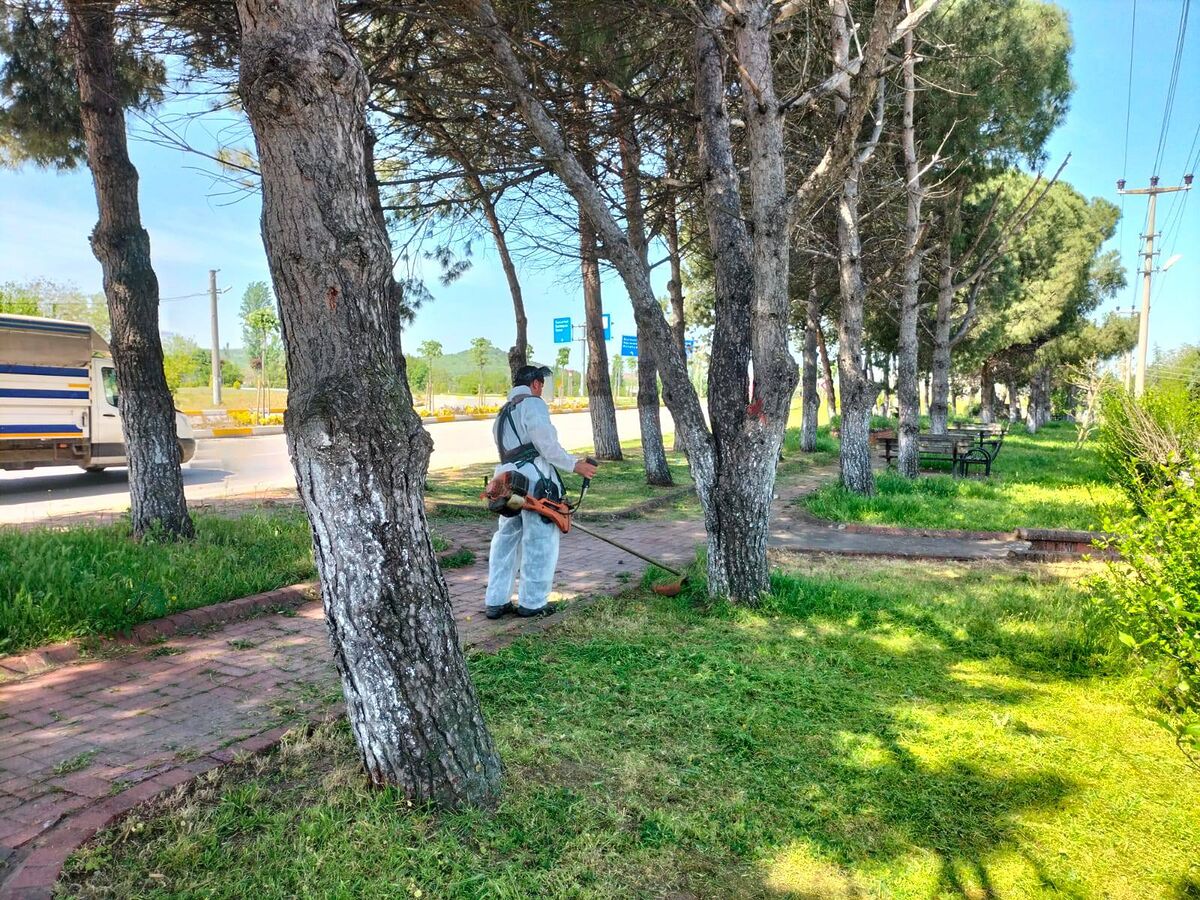 696503303 1298426712490323 1979525916180958778 n - Marmara Bölge Gazetesi