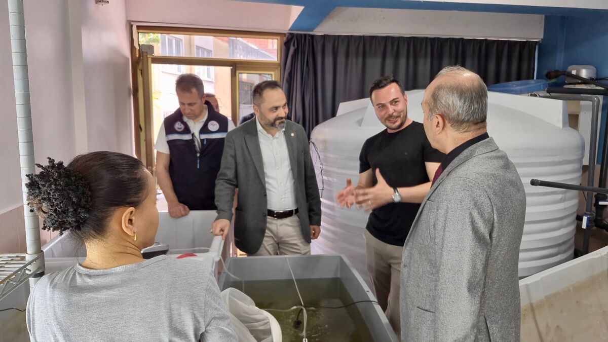 Türkiye’de İlk: Balıkesir’de Deniz Patlıcanı Yavrusu Üretimi Başladı! 697082925 1387040230133502 4599382342166578067 n - Marmara Bölge Gazetesi