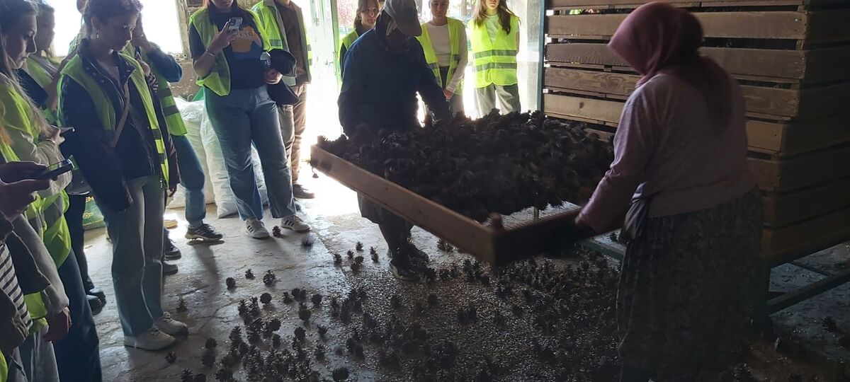 Balıkesir Üniversitesi Dursunbey Meslek Yüksekokulu öğrencileri, ormancılık eğitimini sınıf ortamının