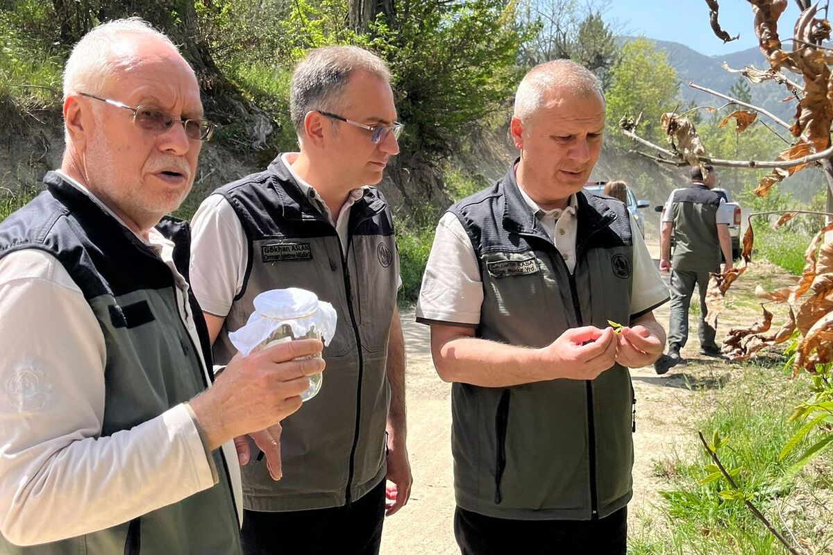 Balıkesir’de Kritik Mücadele Başlatıldı 698464363 1442546621247005 4909319973796571407 n - Marmara Bölge Gazetesi