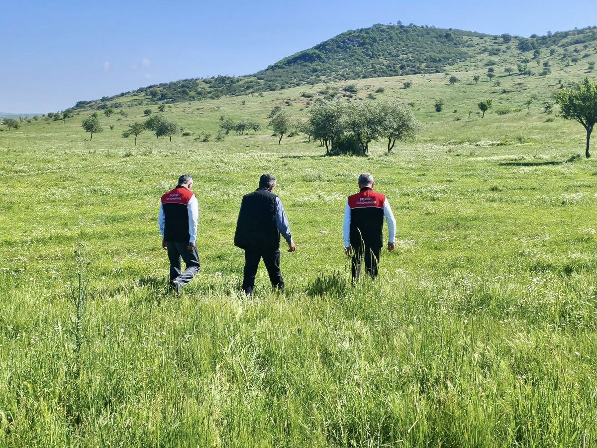 Balıkesir’de hayvancılığın güçlendirilmesi amacıyla sürdürülen mera ıslah çalışmaları Karesi’nin Halkapınar