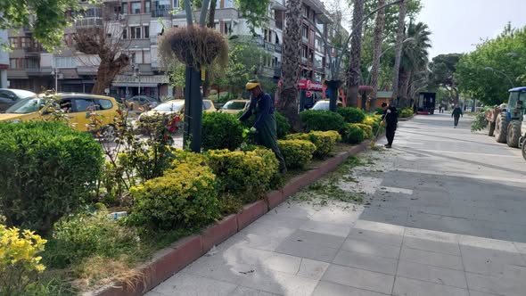 Burhaniye Belediyesi Park ve Bahçeler Müdürlüğü ekipleri, ilçe genelinde yürüttüğü