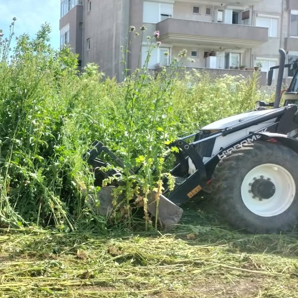701635409 122242425434300867 1588373408912333188 n - Marmara Bölge Gazetesi