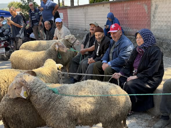 İvrindi Hayvan Pazarı Doldu Taştı 706171507 122221930916335762 5465848850337952950 n - Marmara Bölge Gazetesi