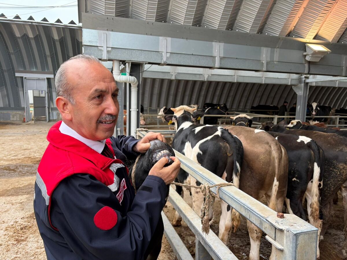 Balıkesir’de Mezbaha ve Kurban Kesim Noktaları AW707617 01 - Marmara Bölge Gazetesi
