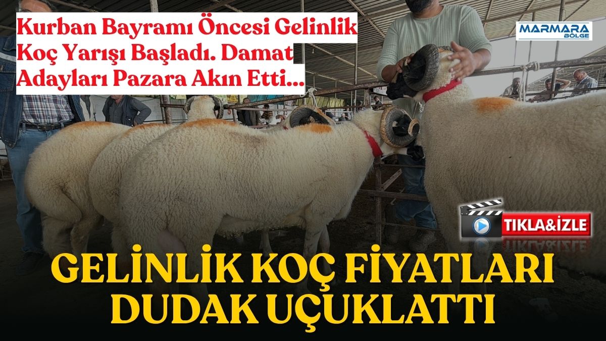 Kurban Bayramı öncesinde Havran Canlı Hayvan Pazarı’nda hareketlilik zirveye ulaştı.