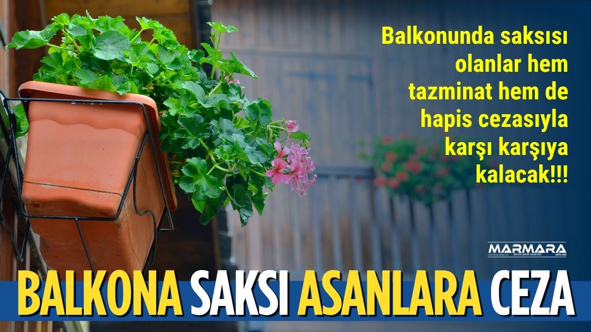 Balkonuna saksı asan ya da çeşitli eşyalar koyan milyonlarca ev