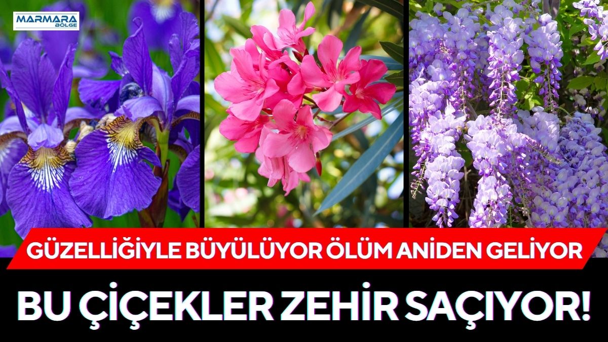 İlkbaharın son günleriyle birlikte parklar, bahçeler, siteler ve yol kenarları