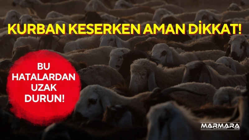 Kurban Bayramı yaklaşırken uzmanlardan dikkat çeken uyarılar gelmeye başladı. Her