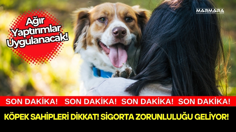 Almanya’da köpek sahiplerine yönelik uygulanan sıkı kurallar ve ağır cezalar