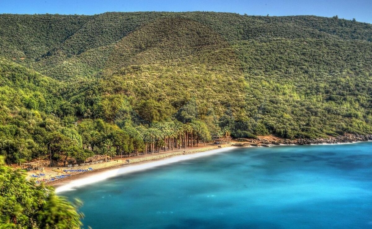Muğla’nın saklı güzelliklerinden Büyük Boncuklu Koyu, turkuaz denizi ve çam