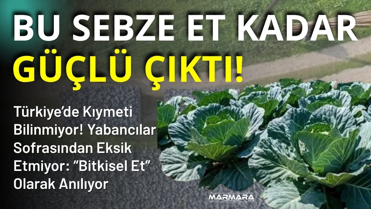 Son yıllarda sağlıklı yaşam trendlerinin yükselişe geçmesiyle birlikte doğal ve