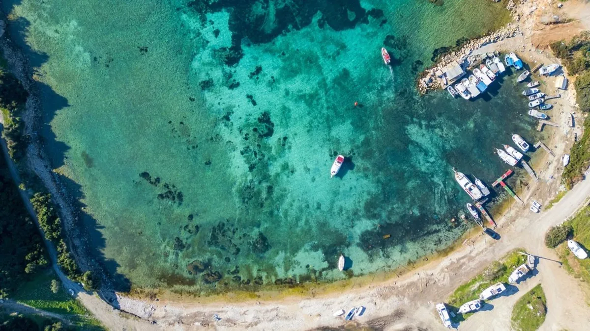 DEMIRCILI KOYU 1 - Marmara Bölge Gazetesi