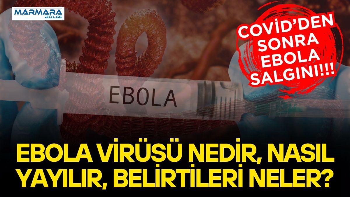 Dünyanın en ölümcül virüsleri arasında gösterilen Ebola yeniden gündemdeki yerini