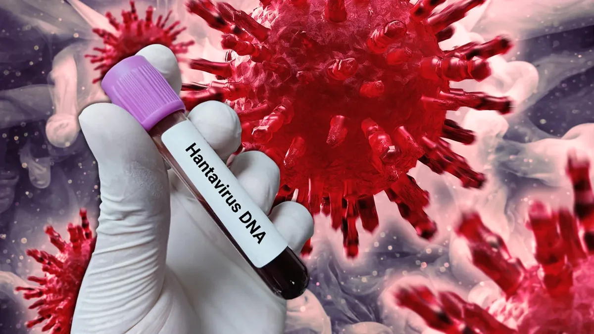 HANTAVIRUS 2 - Marmara Bölge Gazetesi