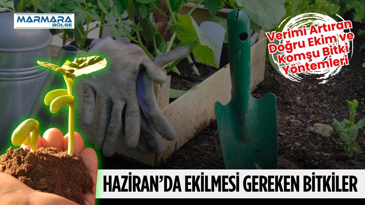 Yaz mevsiminin başlamasıyla birlikte bahçelerde, balkonlarda ve tarlalarda ekim dönemi