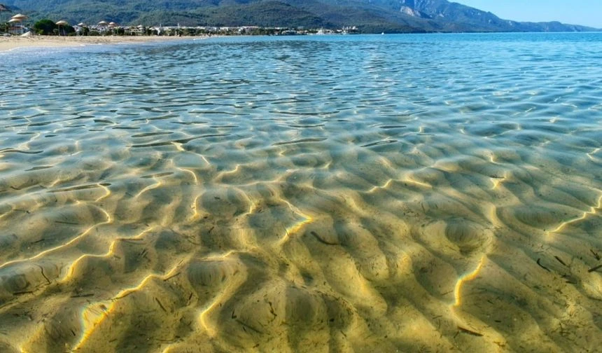 Izmir Camlicay Halk Plaji 1 - Marmara Bölge Gazetesi