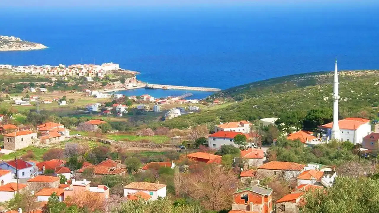 SAIP KOYU 2 - Marmara Bölge Gazetesi