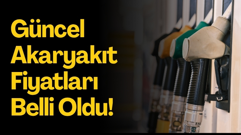 Brent petrol fiyatlarında yaşanan dalgalanmalar, döviz kurundaki hareketlilik ve art