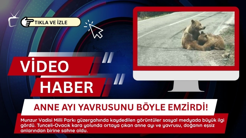 Munzur Vadisi Milli Parkı güzergahında kaydedilen görüntüler sosyal medyada büyük