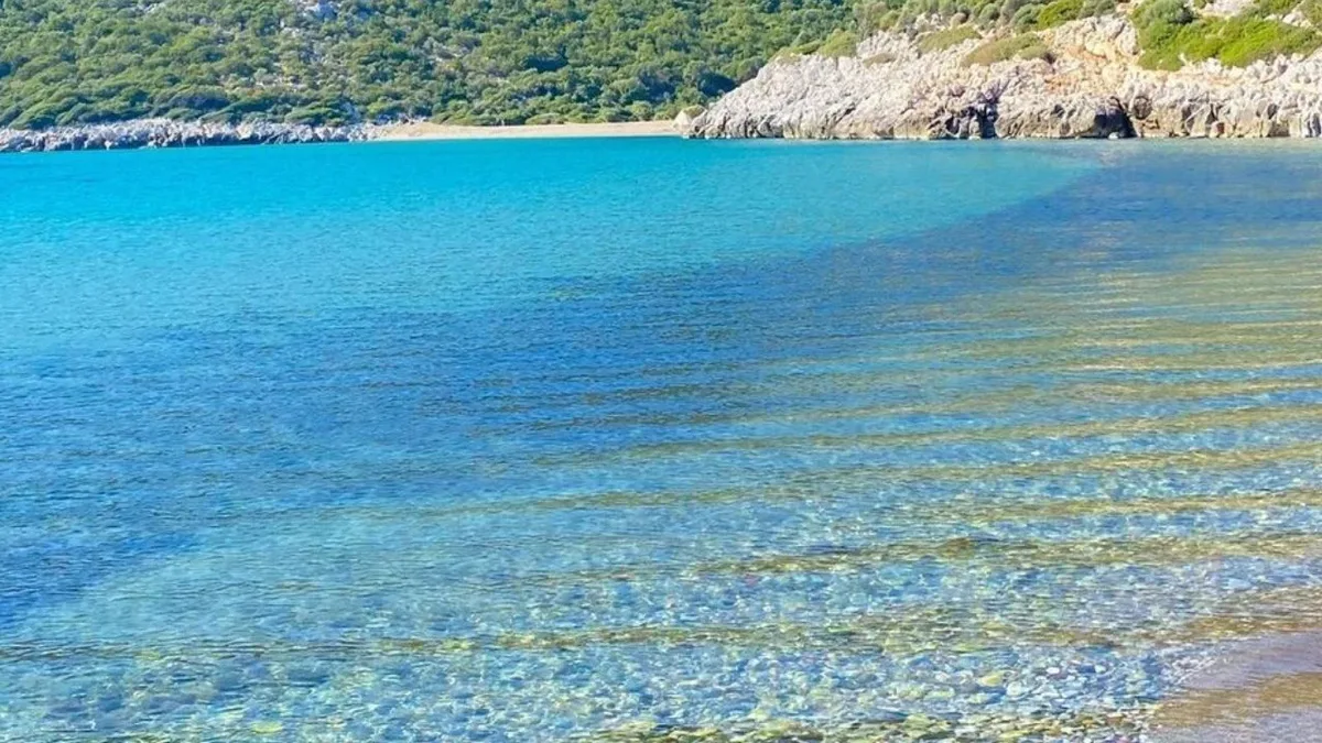 İzmir’in Urla ilçesinde bulunan Papaz Koyu, turkuaz denizi, altın sarısı