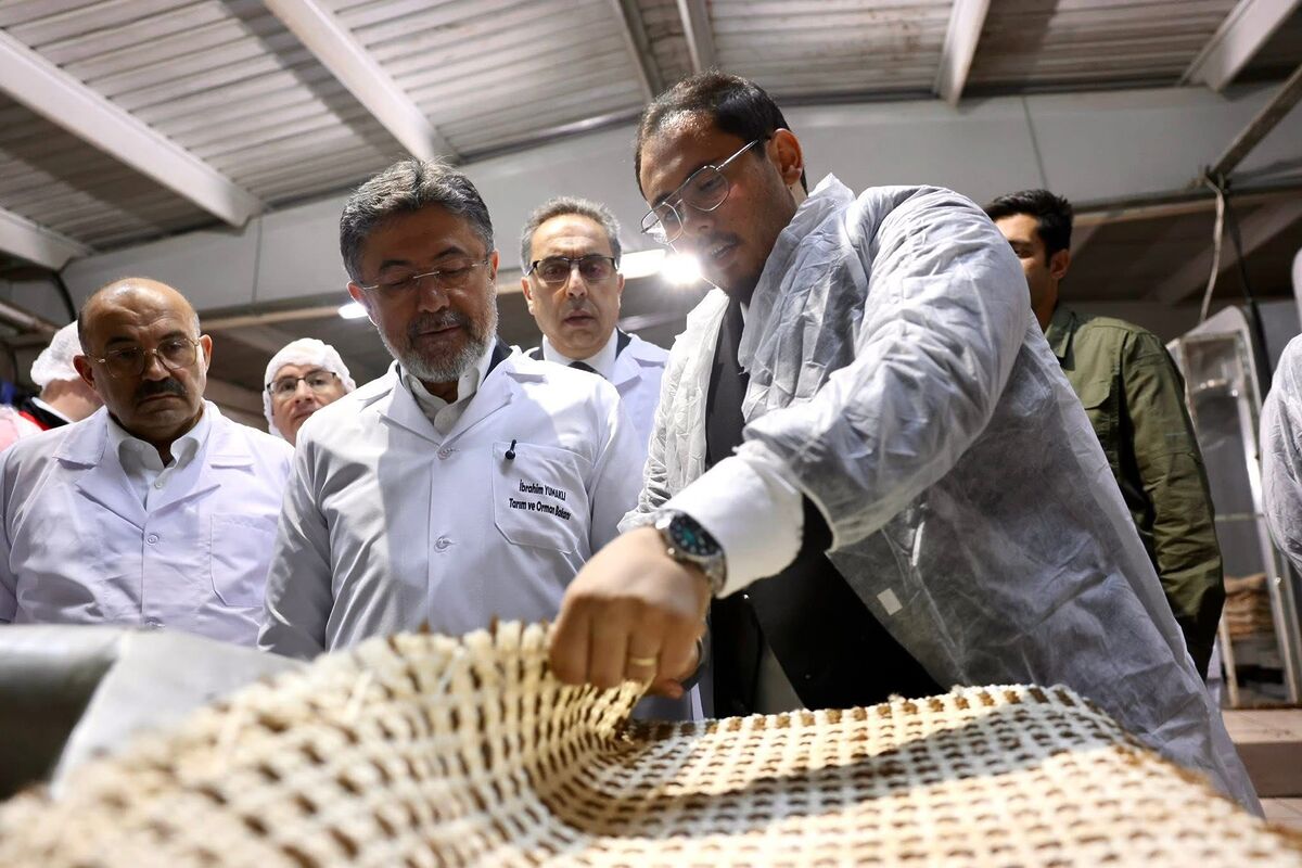 Bakan Yumaklı’dan Ayvalık Zeytincilik Tesisine İnceleme! WhatsApp Image 2026 05 09 at 16.54.11 5 - Marmara Bölge Gazetesi