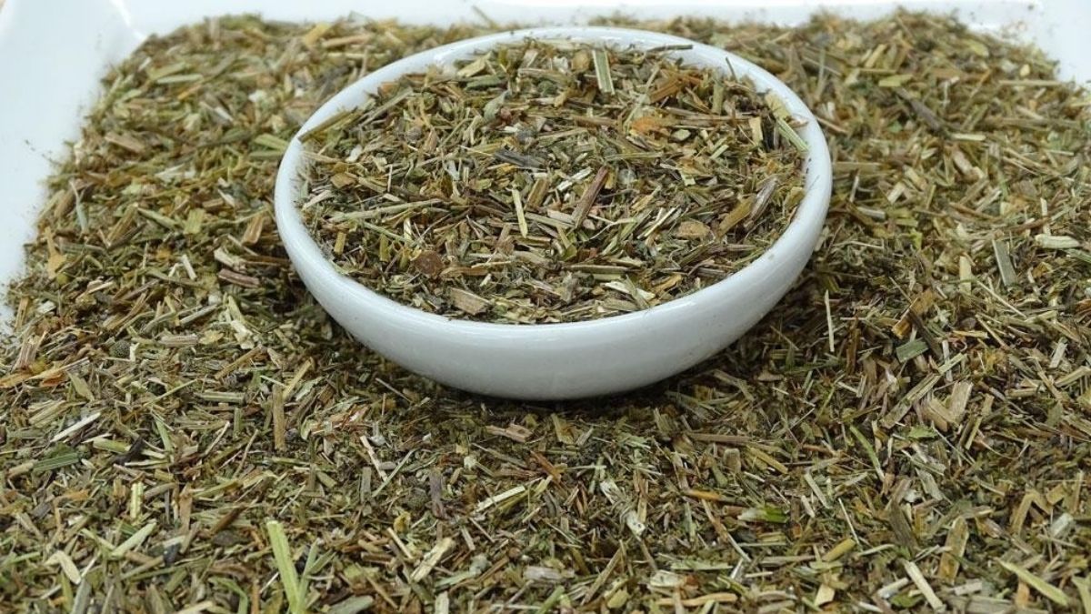 Sosyal Medyada Viral Olan “Botoks Etkisi” Yaptığı İddia Edilen Yoğurt Otu Nedir, Nasıl Kullanılır? İşte Faydaları ve Zararları… YOGURT OTU 8 - Marmara Bölge Gazetesi