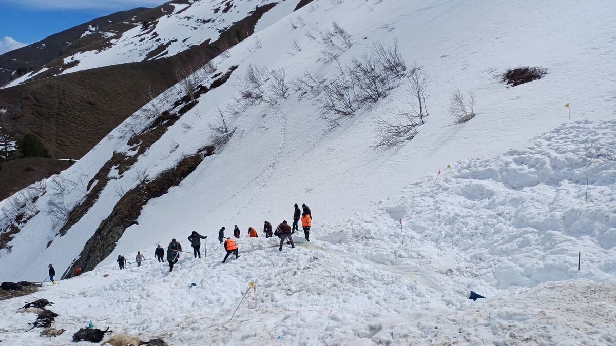 Günler Sonra Gelen Acı Son aw697922 02 - Marmara Bölge Gazetesi