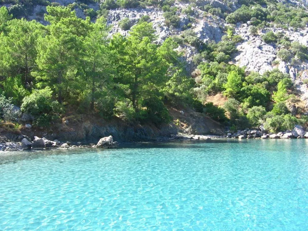 ceneviz koyu tekne turu 1 1024x768 2 - Marmara Bölge Gazetesi