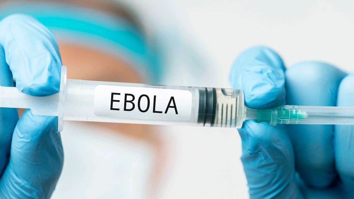 Ebola Virüsü Nedir, Nasıl Yayılır, Belirtileri Neler, Türkiye İçin Risk Var Mı? İşte Merak Edilen Tüm Detaylar… ebola virusu 11 - Marmara Bölge Gazetesi
