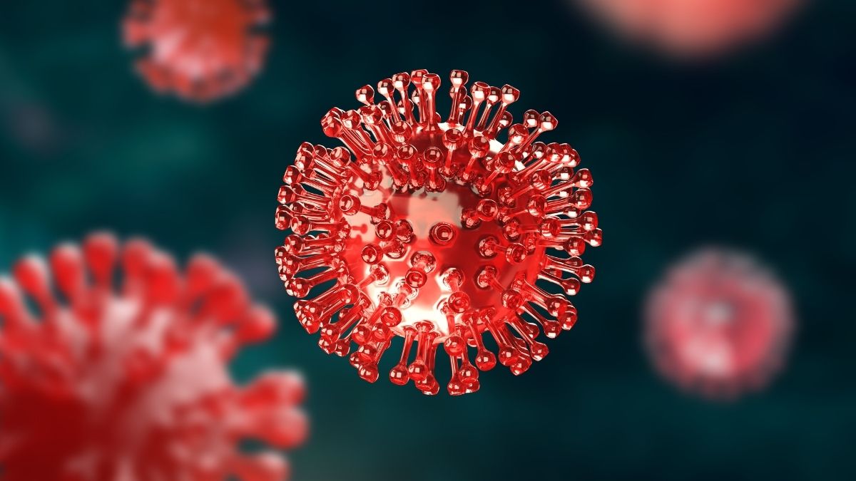 Ebola Virüsü Nedir, Nasıl Yayılır, Belirtileri Neler, Türkiye İçin Risk Var Mı? İşte Merak Edilen Tüm Detaylar… ebola virusu 13 - Marmara Bölge Gazetesi