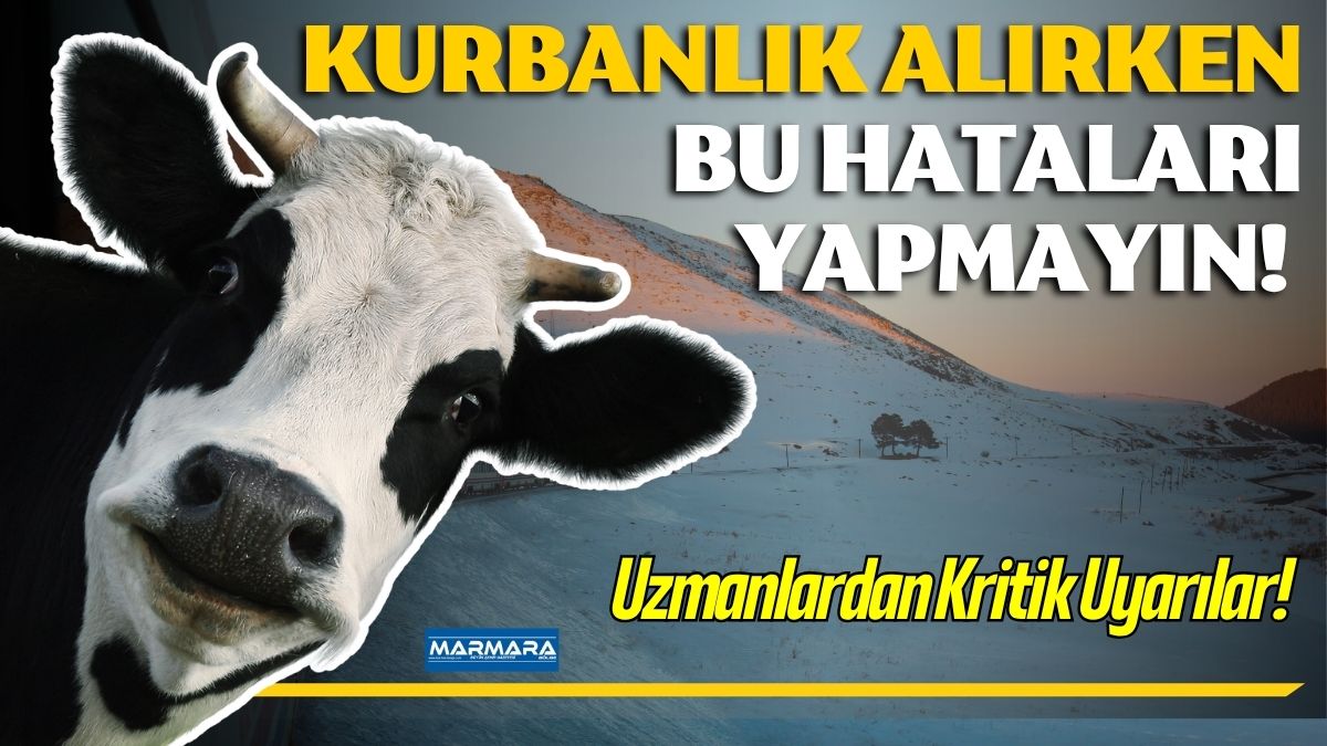Kurban Bayramı’nın yaklaşmasıyla birlikte vatandaşlar kurban pazarlarının yolunu tutmaya başladı.