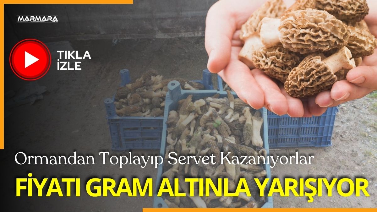 Bilecik'te geçtiğimiz sene çıkan yangınla birlikte heba olan 140 bin