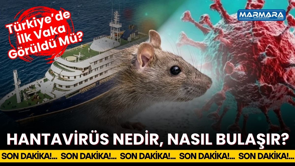 Atlas Okyanusu’nda seyir halindeki bir yolcu gemisinde görülen vakalar sonrası