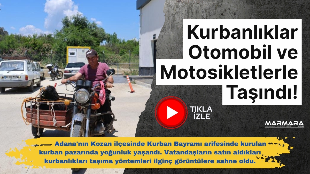 Adana'nın Kozan ilçesinde Kurban Bayramı arifesinde kurulan kurban pazarında yoğunluk