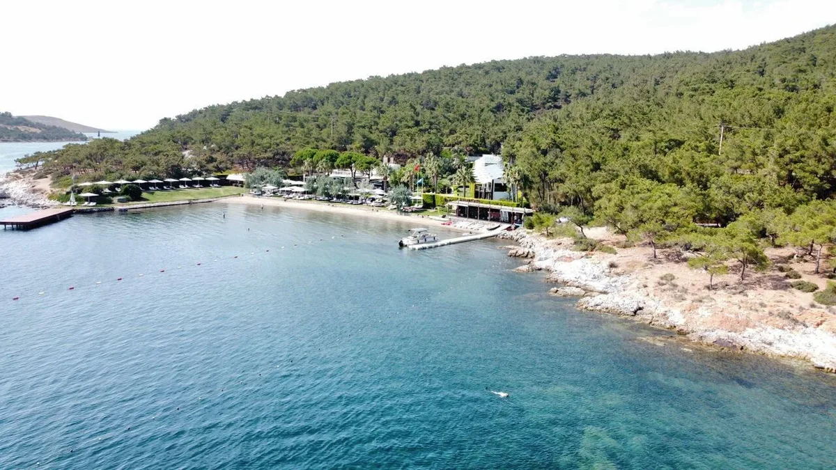 patrica koyu 5 - Marmara Bölge Gazetesi