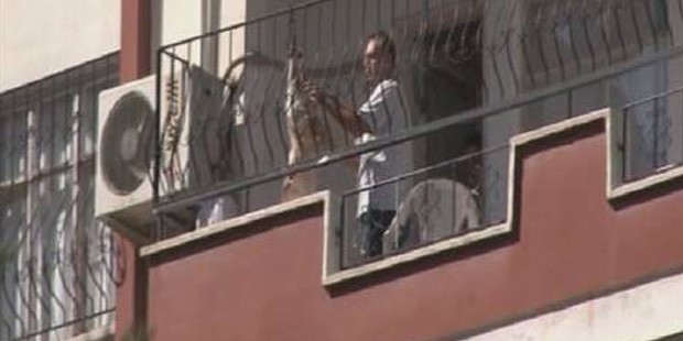 Kurban Bayramında Yaşanan En İlginç Kazalar! Uzmanlardan Uyarı Geldi.. raw balkonda kurban kesimine ceza 018202241 - Marmara Bölge Gazetesi